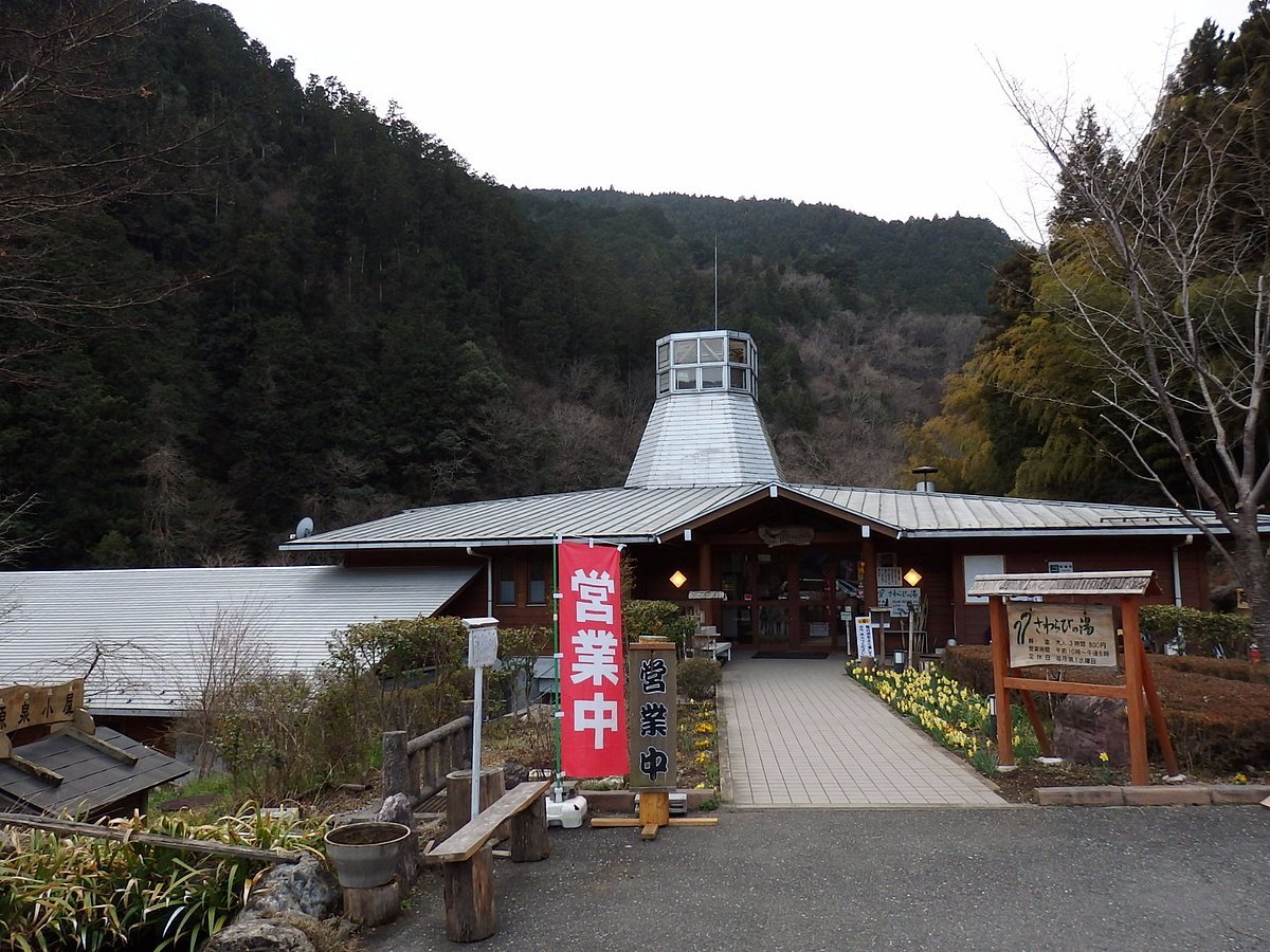 🏞️ 아리마 댐 (아리마 다무) 이미지 5